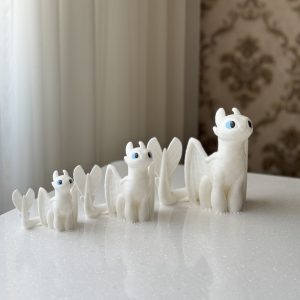 بی دندون ایستاده - Image 3